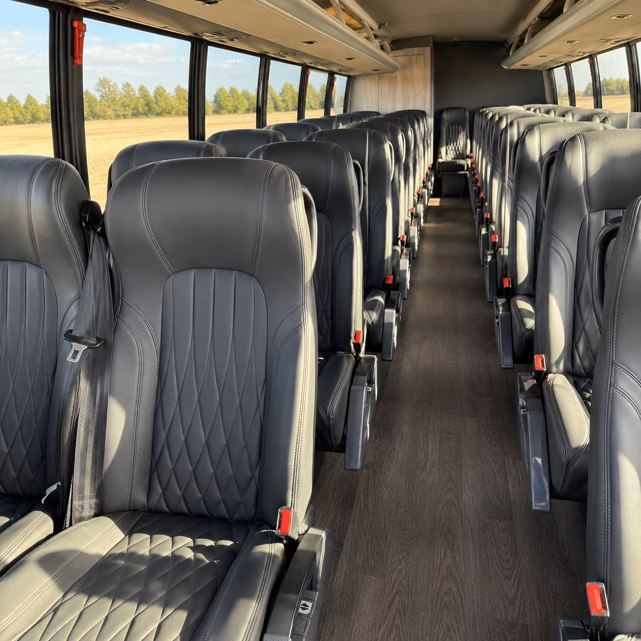 springfield prom transportation onboard seating